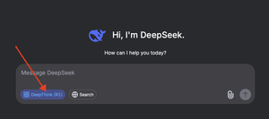 DeepSeek DeepThink